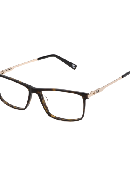 VFI296 0722 - Fila